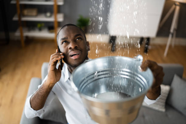 Best Water damage mitigation services  in Monroeville, PA