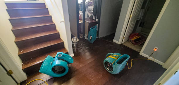 Best Carpet water damage restoration  in Monroeville, PA