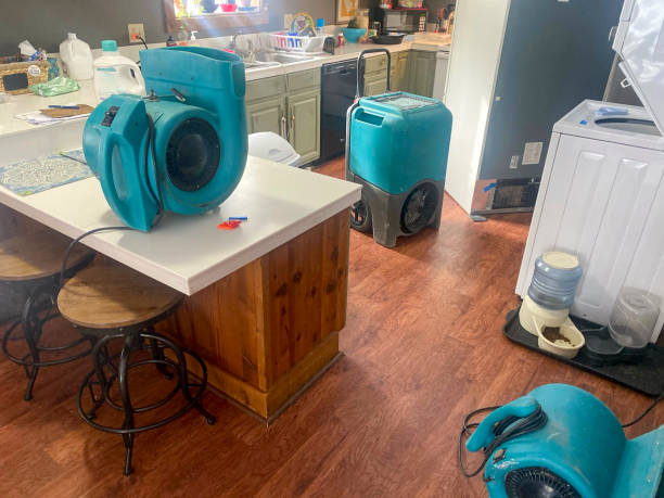 Best Flood damage cleanup  in Monroeville, PA