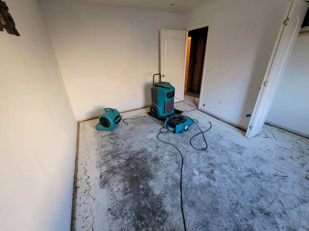 Best Residential water damage restoration  in Monroeville, PA