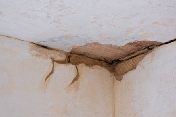 Best 24/7 water damage repair  in Monroeville, PA
