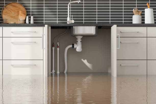 Best Professional water damage repair  in Monroeville, PA