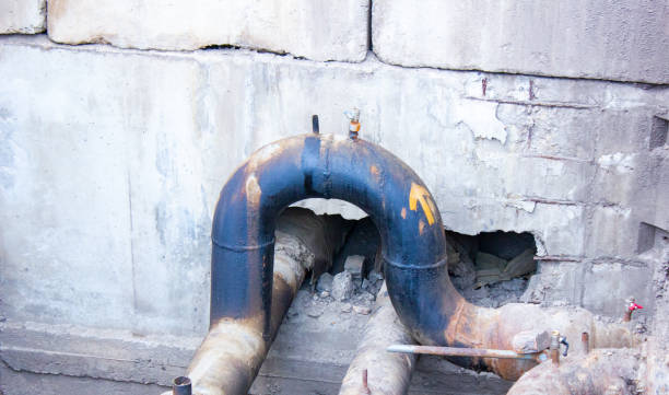 Best Water damage restoration near me  in Monroeville, PA