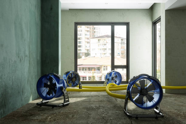 Best 24-hour water damage restoration  in Monroeville, PA